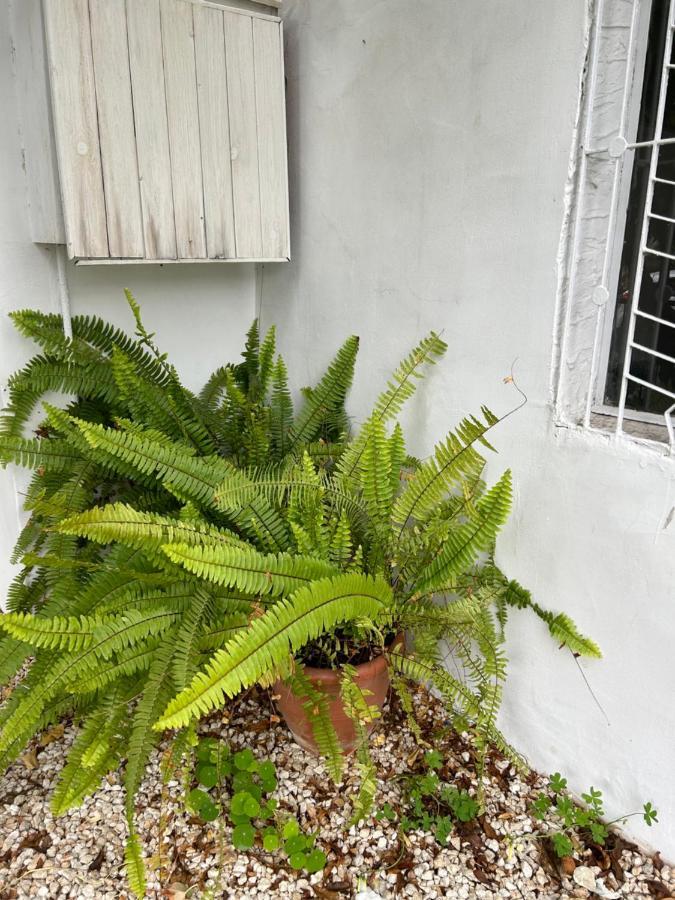 リマソール Avra Houseヴィラ エクステリア 写真